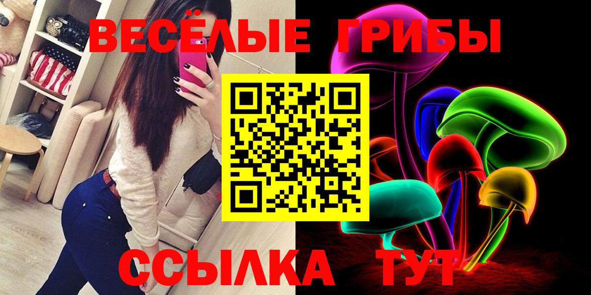 Псилоцибиновые грибы GOLDEN TEACHER  Псилоцибиновые грибы ЛСД  Анжеро-Судженск  Вход с VPN 